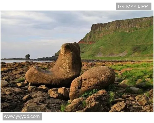 智利足球明星崛起之路：从小球场到国际赛场的传奇故事