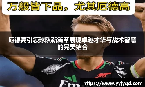 333体育官网登录